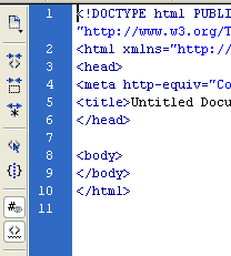 Coding Panel  Macromedia Dreamweaver 8