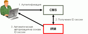 irm_arch_approach_02