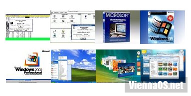   Microsoft Windows