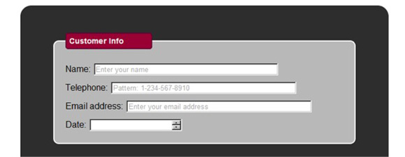 Customer information          fields name, telephone, email address and date.