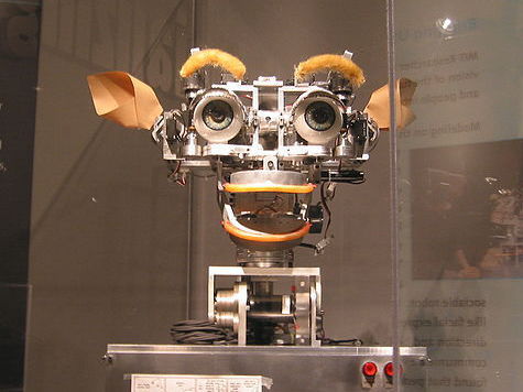 Кисмет (Kismet), робот с рудиментарными социальными навыками.