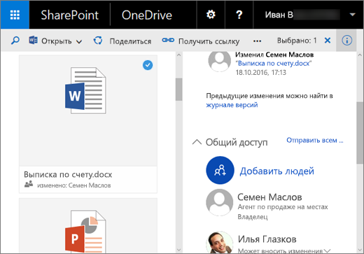 Снимок экрана: область сведений в OneDrive для бизнеса в SharePoint Server 2016 с пакетом дополнительных компонентов 1